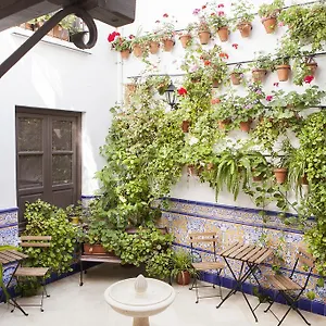 Casa De Mercedes Hotel Málaga